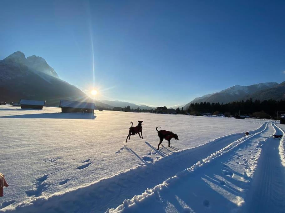 Zentral, Ruhig & Stilvoll Mit Bergpanorama+ Garten Garmisch-Partenkirchen Exterior photo